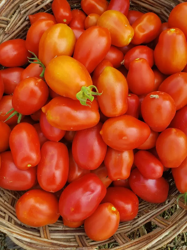 amap à Reignier-Esery